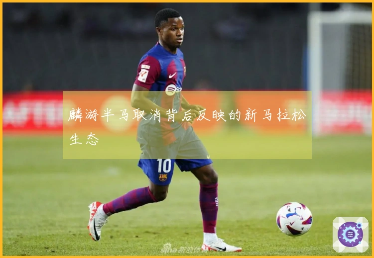 麟游半马取消背后反映的新马拉松生态