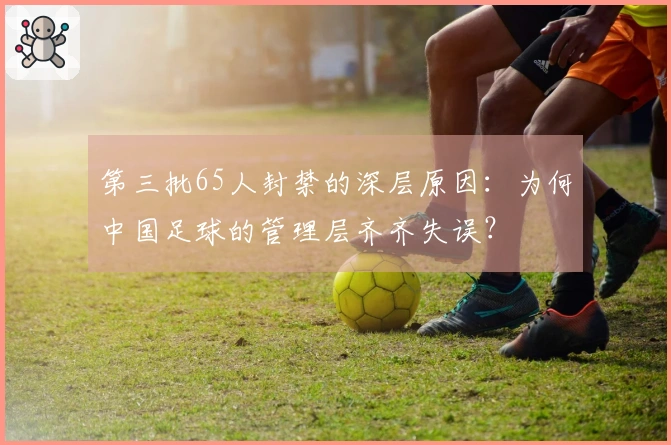 第三批65人封禁的深层原因:为何中国足球的管理层齐齐失误?