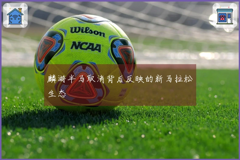 麟游半马取消背后反映的新马拉松生态